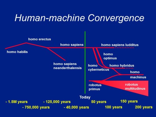 human evolution 1