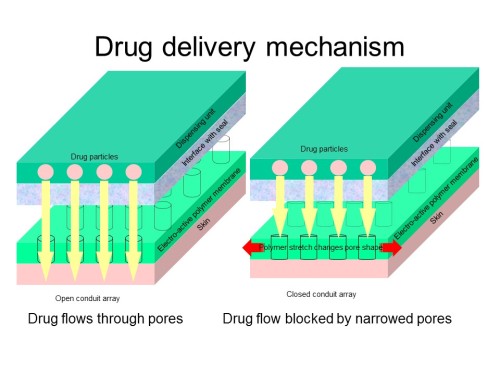 Drug delivery mechanism